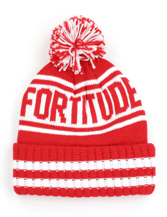 DST Letter Beanie