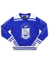PBS V-NECK SWEATER_ROYAL BLUE